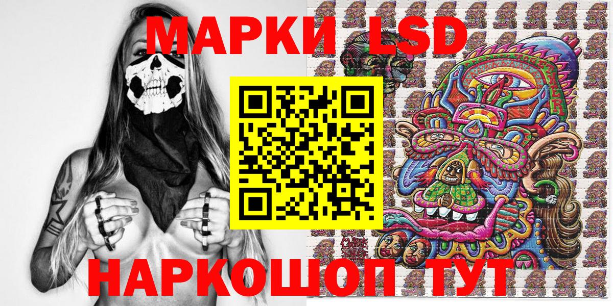 Галлюциногенные грибы Гулькевичи