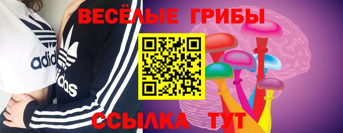 Псилоцибиновые грибы Psilocybe Гулькевичи